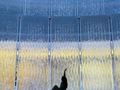 -深圳湾万象城(南山店)