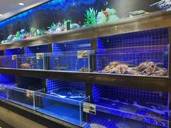 -粤珍轩.创始店.始于2001(含光门店)