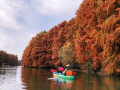 -上海海湾国家森林公园