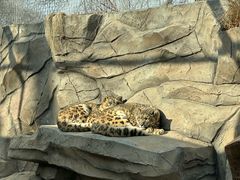 -青藏高原野生动物园