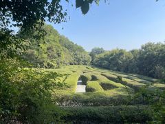 -大屏嶂森林公园