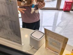 -瑞鹏宠物医院·骨科·猫科·内科(第一中心)