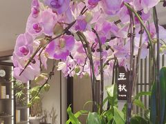-花锦堂·隐庐