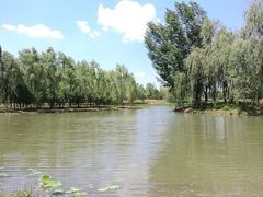 -东郊湿地公园