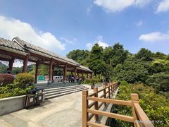 -广州市帽峰山景区