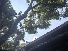 -宁波市保国寺古建筑博物馆