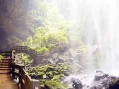 -武陵山森林公园