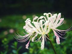 -中国茶叶博物馆(双峰馆区)