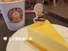 -史努比缤纷世界