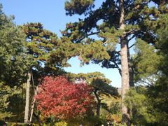 -香山公园-东宫门售票处