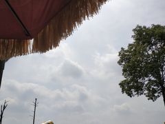 -空港花田景区