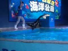 -石家庄海洋公园