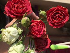-ChaKo Flora ·茶子花艺 (市北店)