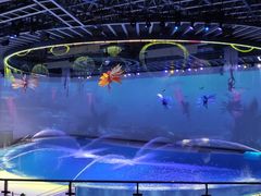 -上海海昌海洋公园