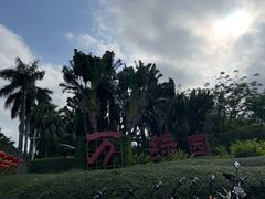 -万绿园