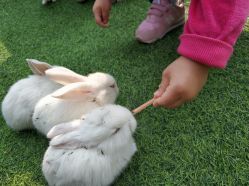 -萌宠亲子动物乐园(槐房万达店)