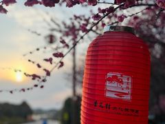 -杏花村文化旅游区