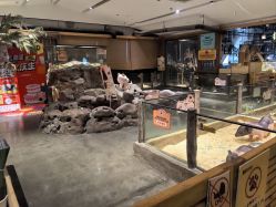 -造物庄园 萌宠纪(苏州湾歌林公园店)