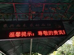 -呀诺达热带雨林