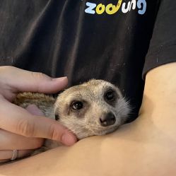 -Zoolung Zoolung动物主题公园(海信广场店)