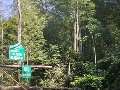 -大余丫山旅游度假区