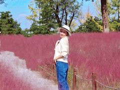 -汉长安城未央宫国家考古遗址公园