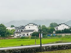 -黄牛肉馆·皖南土菜