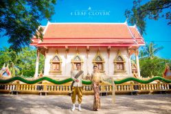 -四叶草环球旅拍