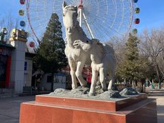 -青城公园