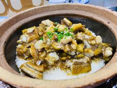 黄鳝田鸡煲仔饭-红星光发煲仔饭(大石街店)