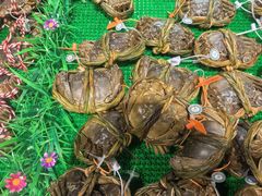 -永辉超市(嘉定宝龙广场店)