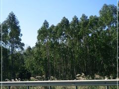 -飞霞风景名胜区