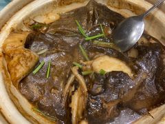 砂锅碟鱼头-隆喜元鱼汤包·海鲜(中联广场店)
