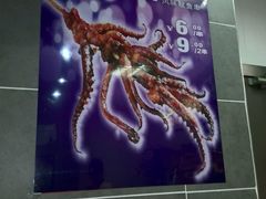 -华莱士·全鸡汉堡(湛江新华店)