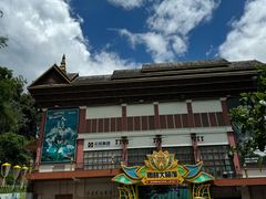 -西双版纳原始森林公园