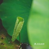 我心中的言叶之庭