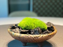 -子福慧(虹桥店)