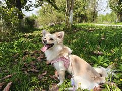 -桤木河湿地公园