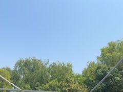 -名骏车业(园区星明店)