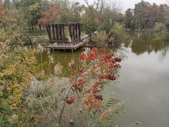-上海吴淞炮台湾国家湿地公园