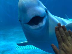 -多彩贵州城极地海洋世界