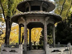 -玲珑塔公园