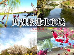 -大兴滨河森林公园