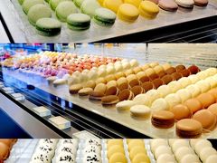 -BLACKSWAN黑天鹅(环球店)