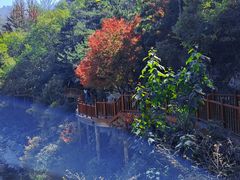 -崂山九水游览区