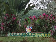 -海南热带野生动植物园