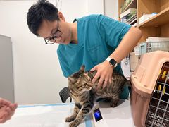 -艾贝尔宠物医院·24H转诊中心·肿瘤猫专科(江宁双龙店)