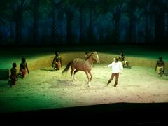 -cavalia·舞马