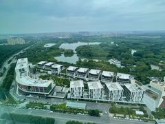 -大兴滨河森林公园