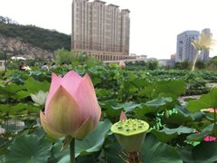 -龙环葡韵住宅式博物馆